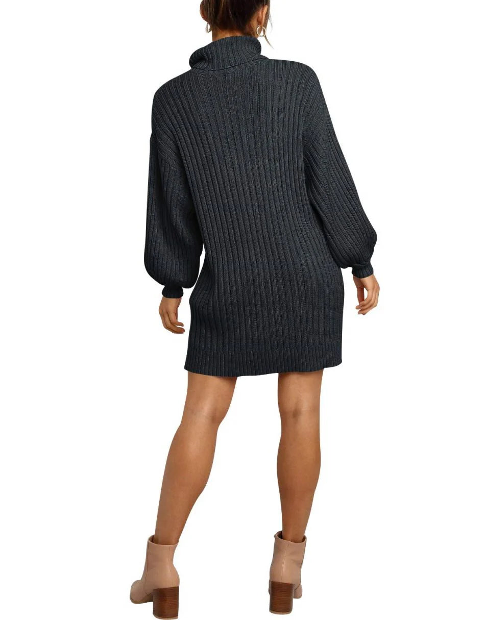 Women Turtleneck Oversized Sweater Pullover Dresses