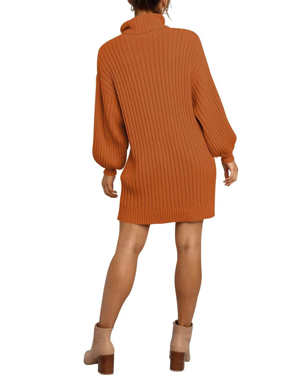 Women Turtleneck Oversized Sweater Pullover Dresses