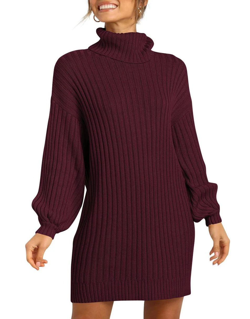 Women Turtleneck Oversized Sweater Pullover Dresses