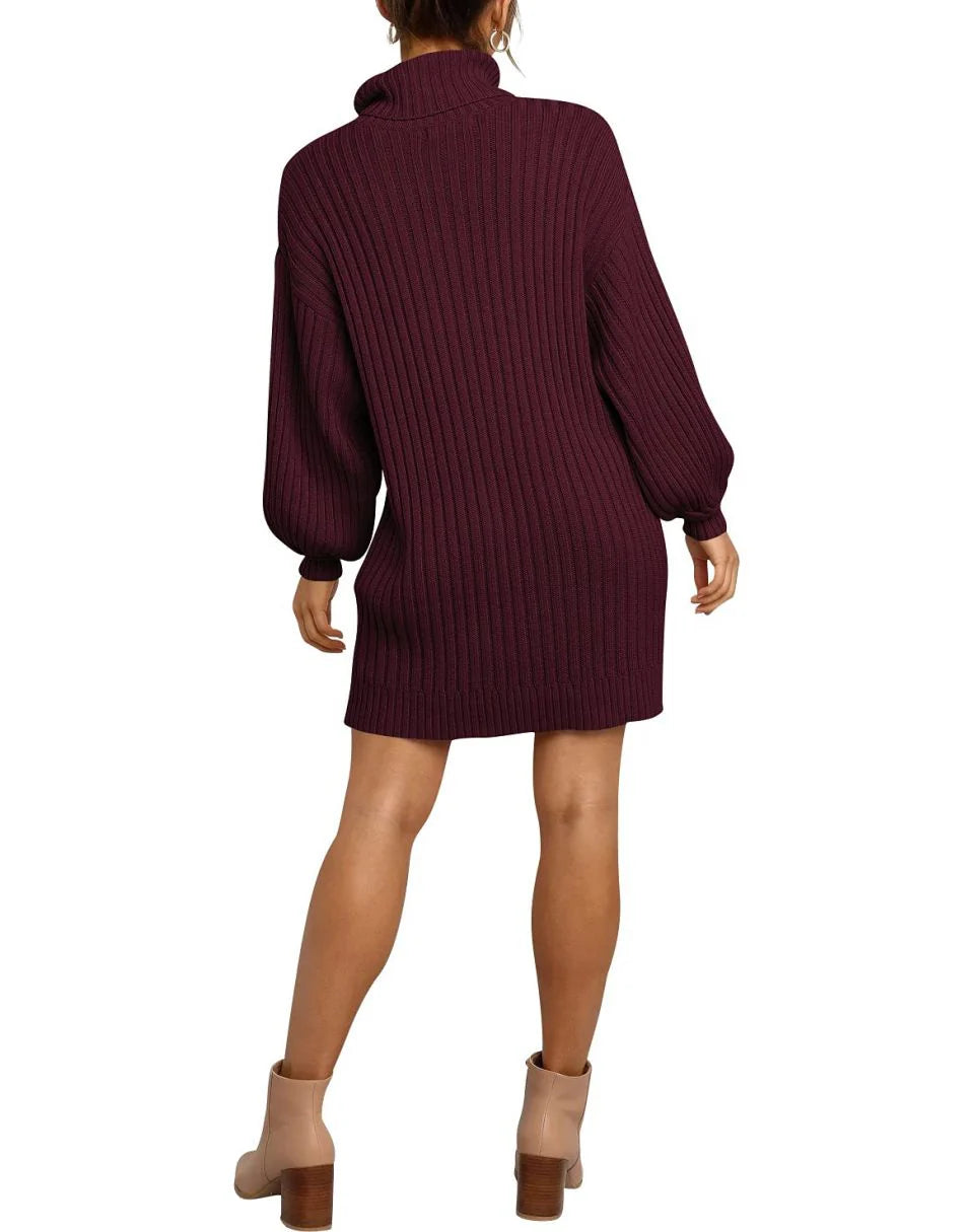 Women Turtleneck Oversized Sweater Pullover Dresses