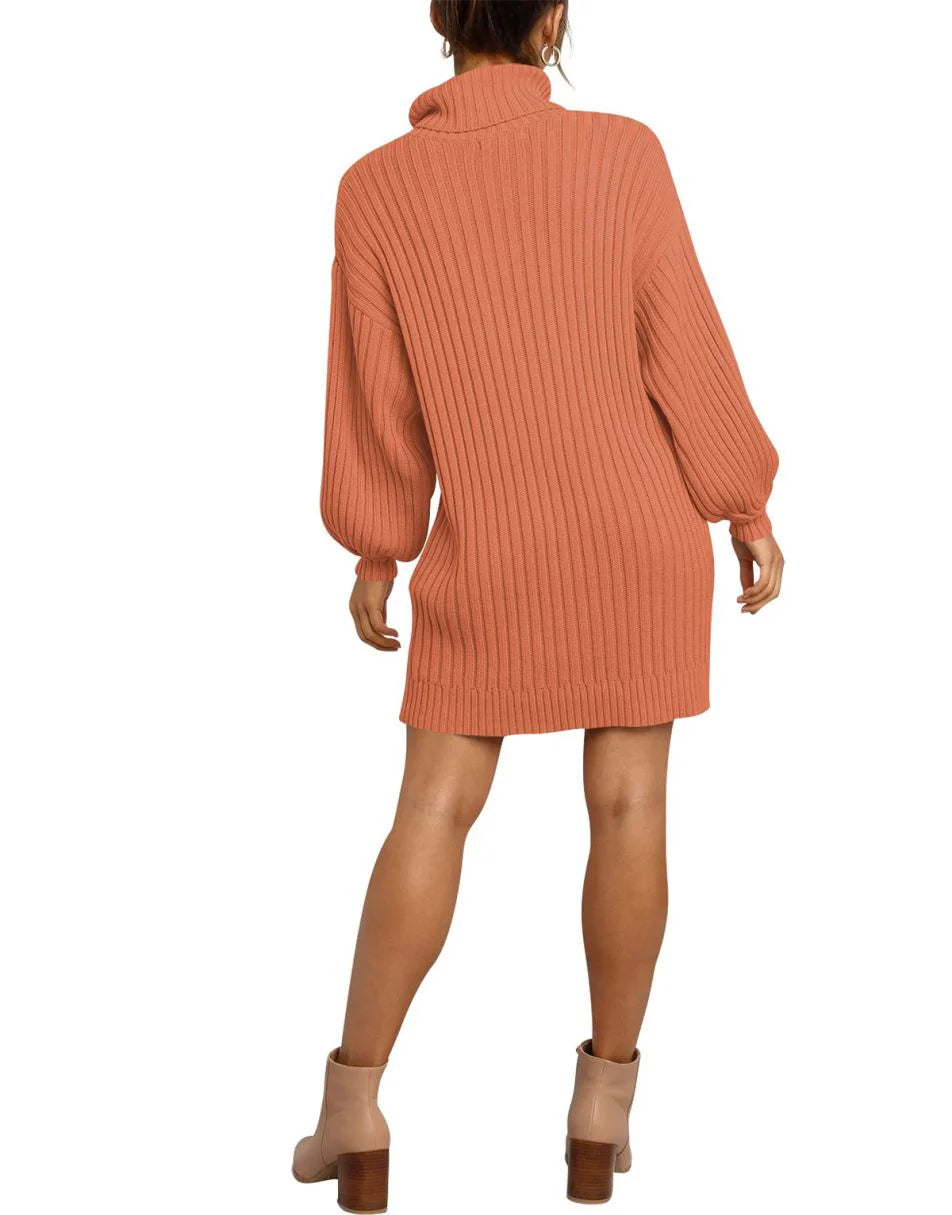 Women Turtleneck Oversized Sweater Pullover Dresses