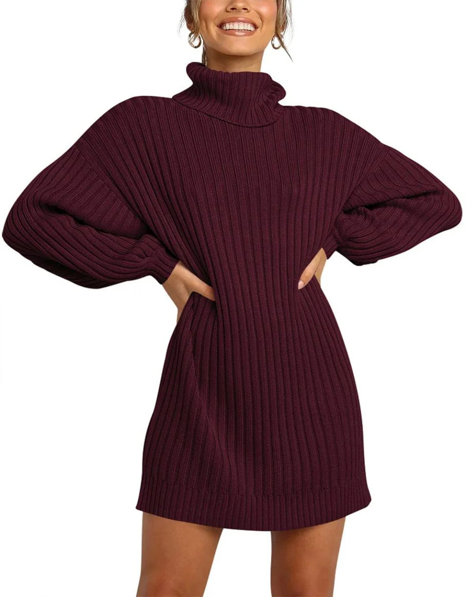 Women Turtleneck Oversized Sweater Pullover Dresses
