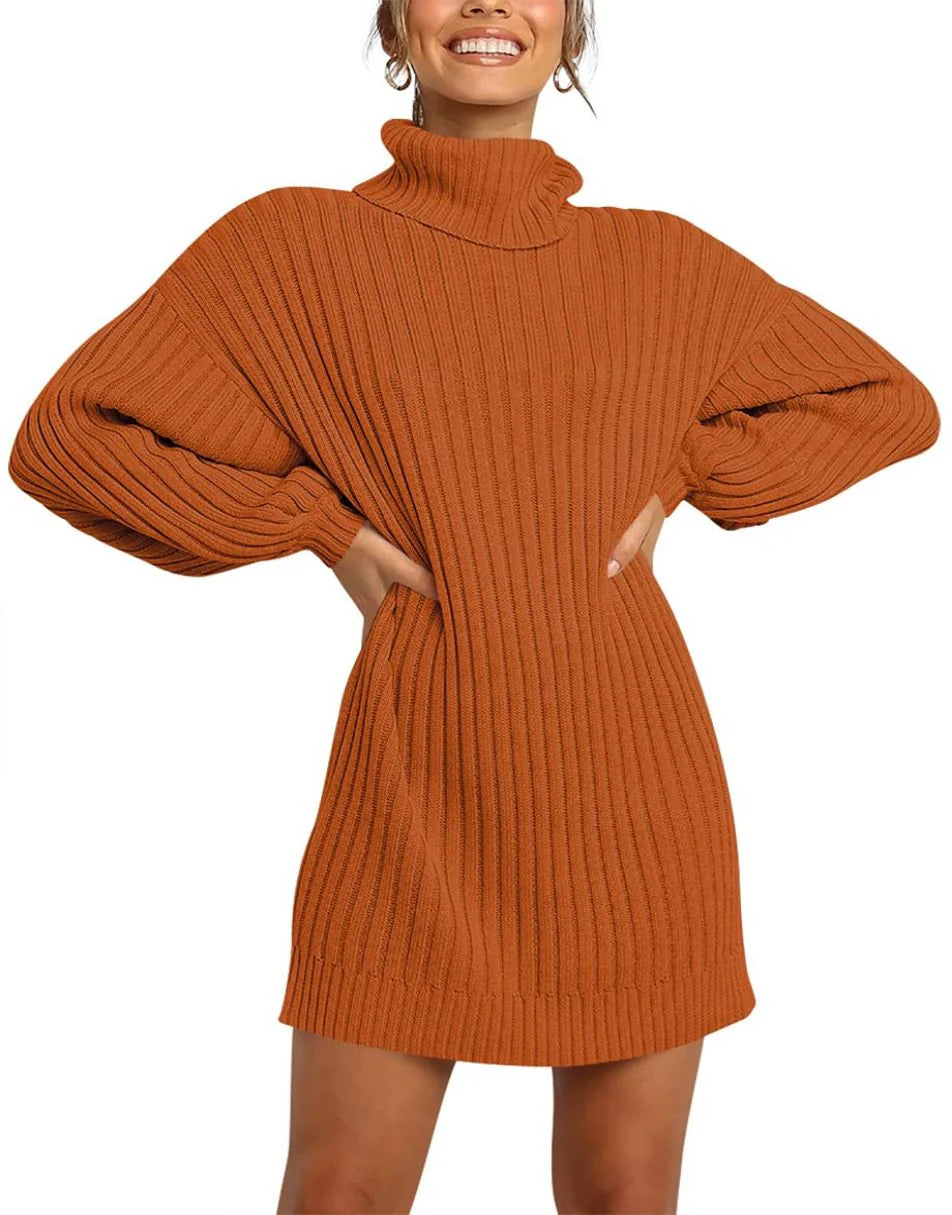 Women Turtleneck Oversized Sweater Pullover Dresses