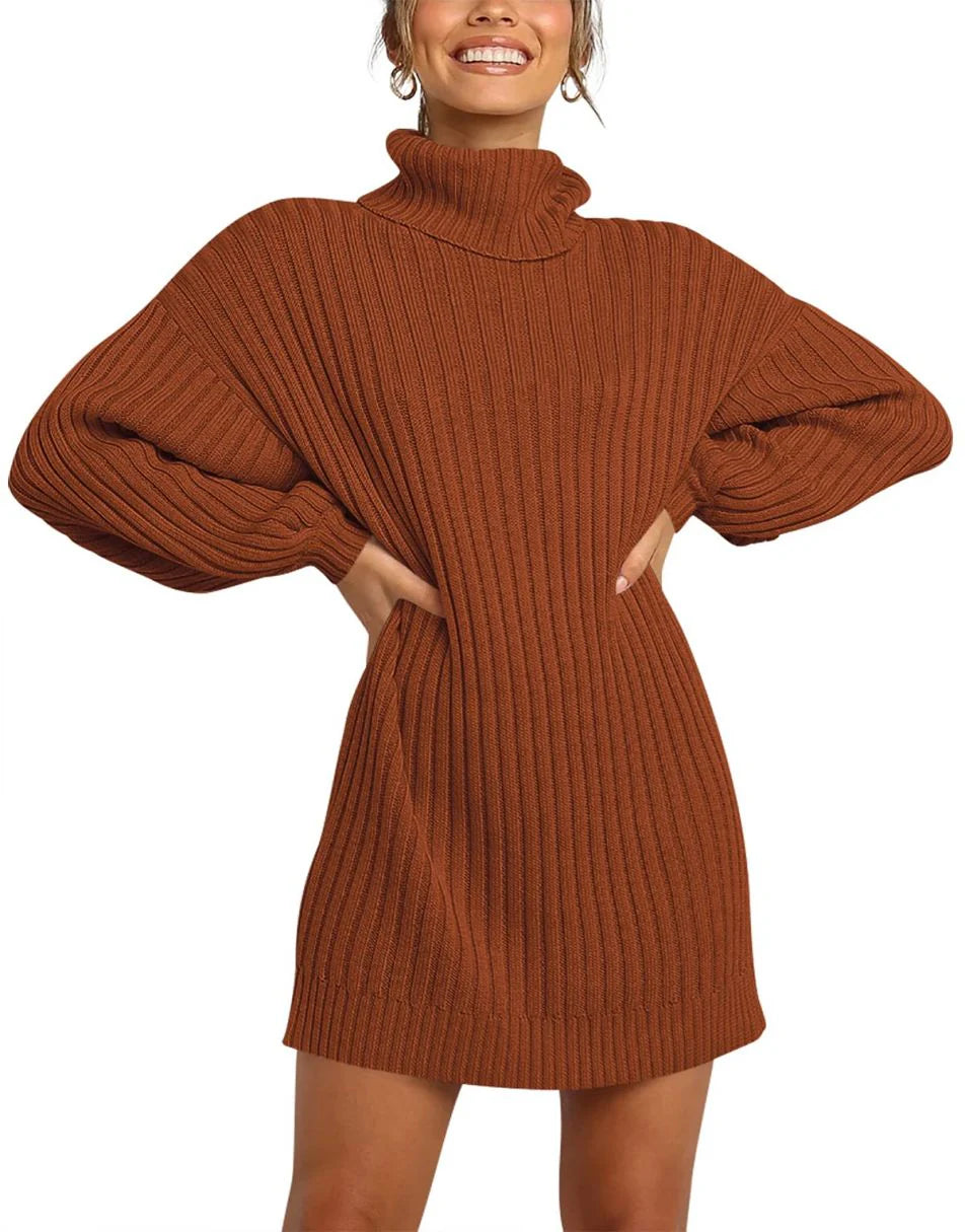 Women Turtleneck Oversized Sweater Pullover Dresses