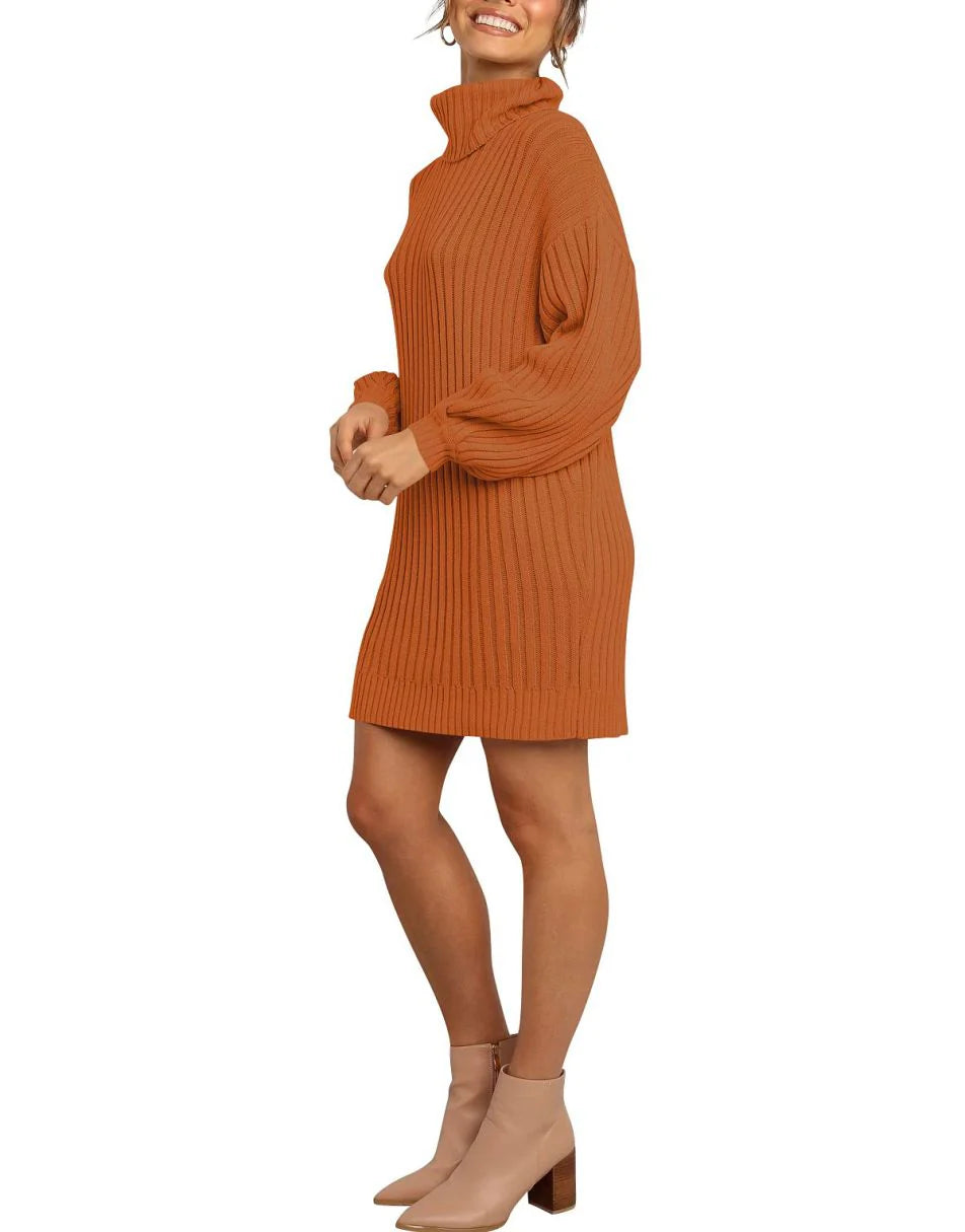Women Turtleneck Oversized Sweater Pullover Dresses