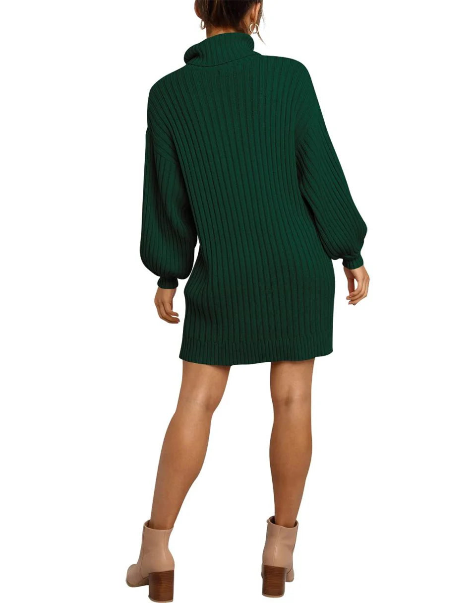 Women Turtleneck Oversized Sweater Pullover Dresses