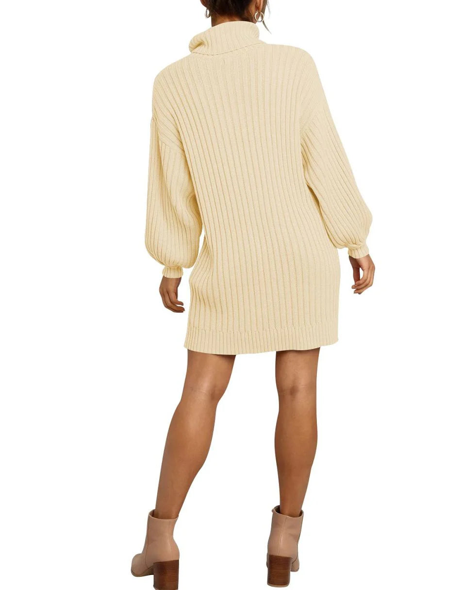 Women Turtleneck Oversized Sweater Pullover Dresses