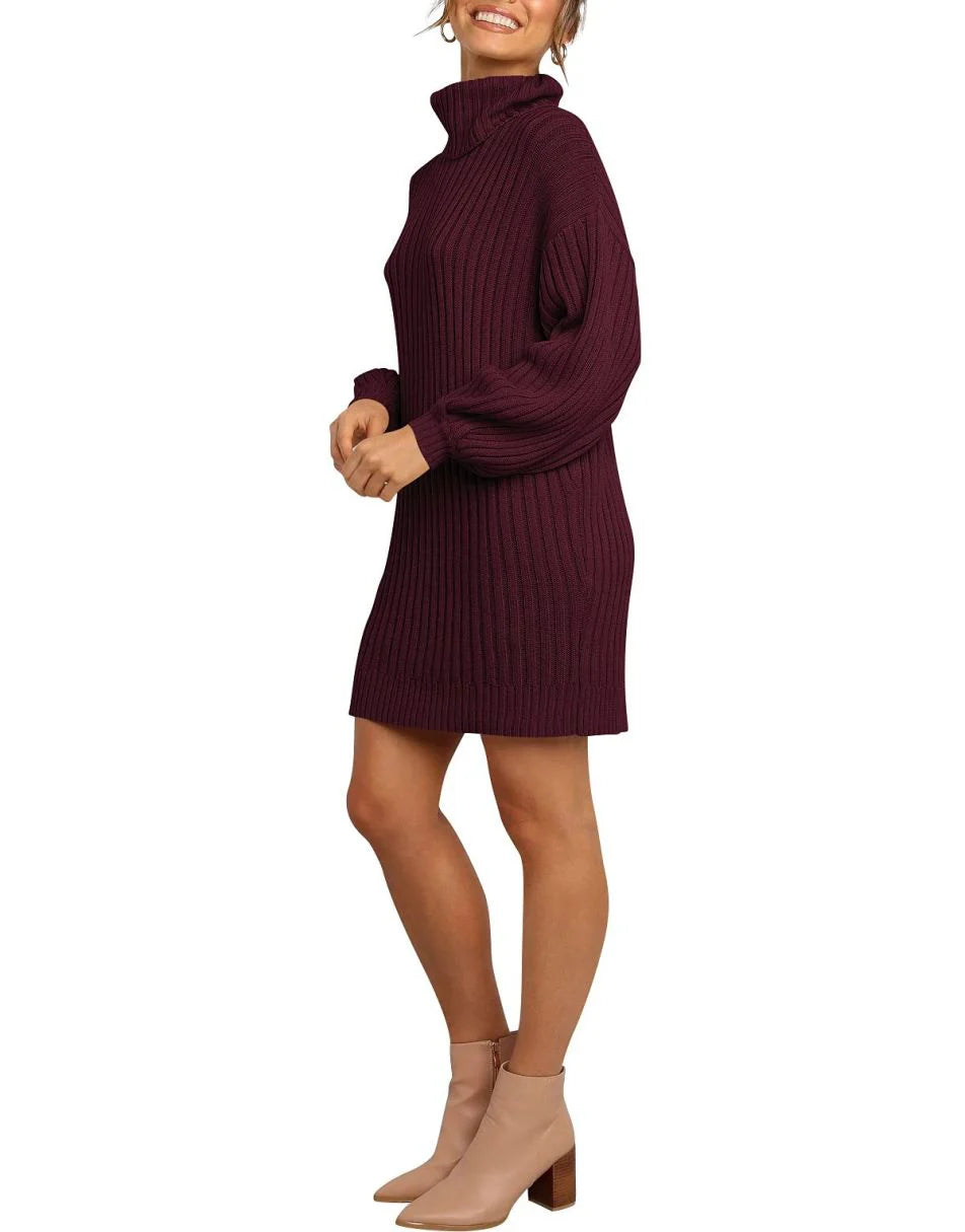 Women Turtleneck Oversized Sweater Pullover Dresses