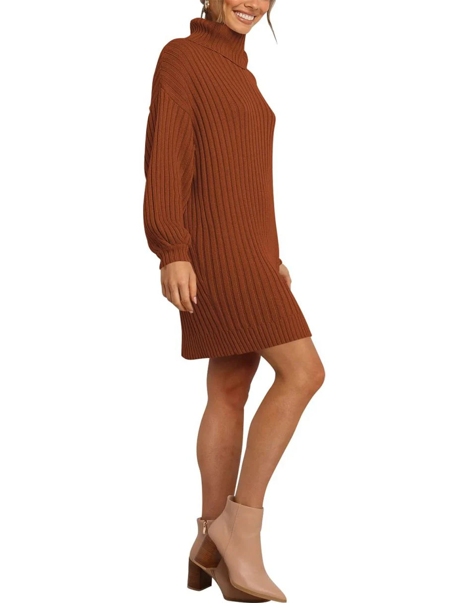 Women Turtleneck Oversized Sweater Pullover Dresses