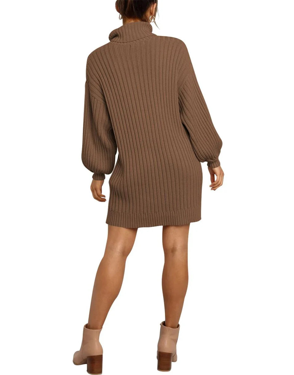 Women Turtleneck Oversized Sweater Pullover Dresses