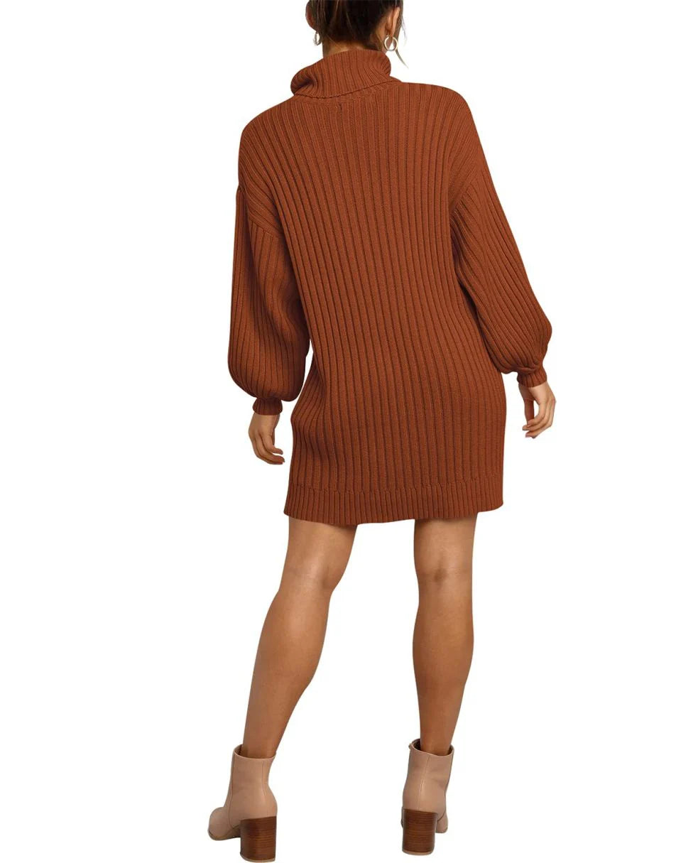 Women Turtleneck Oversized Sweater Pullover Dresses