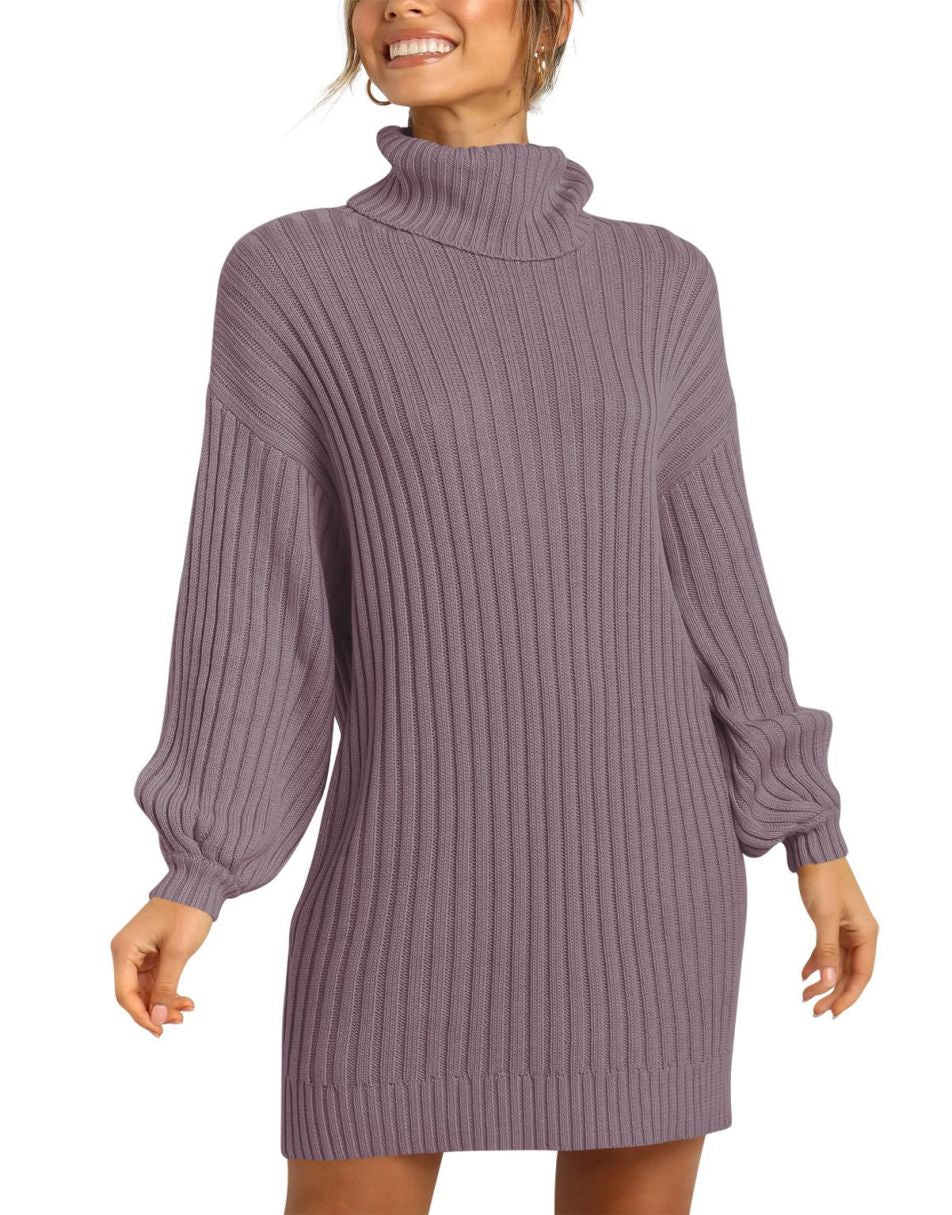 Women Turtleneck Oversized Sweater Pullover Dresses