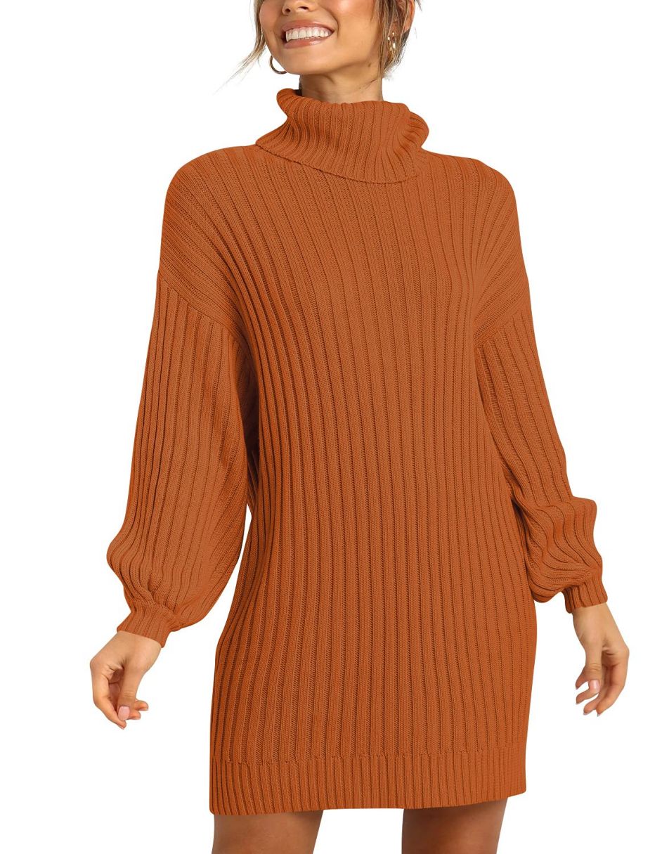 Women Turtleneck Oversized Sweater Pullover Dresses