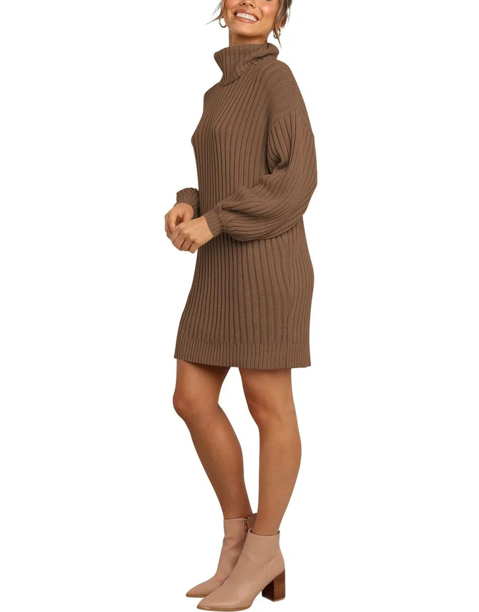 Women Turtleneck Oversized Sweater Pullover Dresses