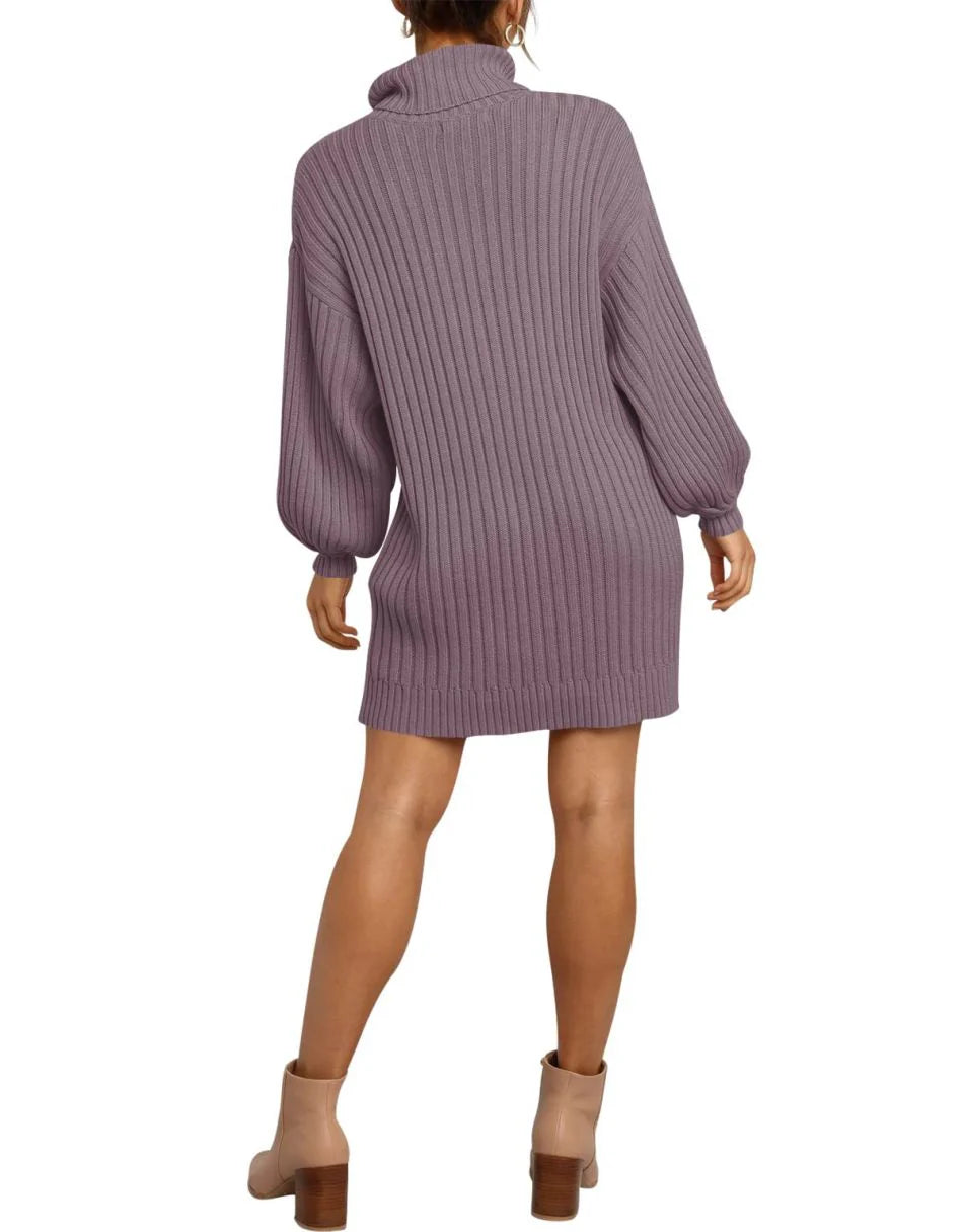 Women Turtleneck Oversized Sweater Pullover Dresses