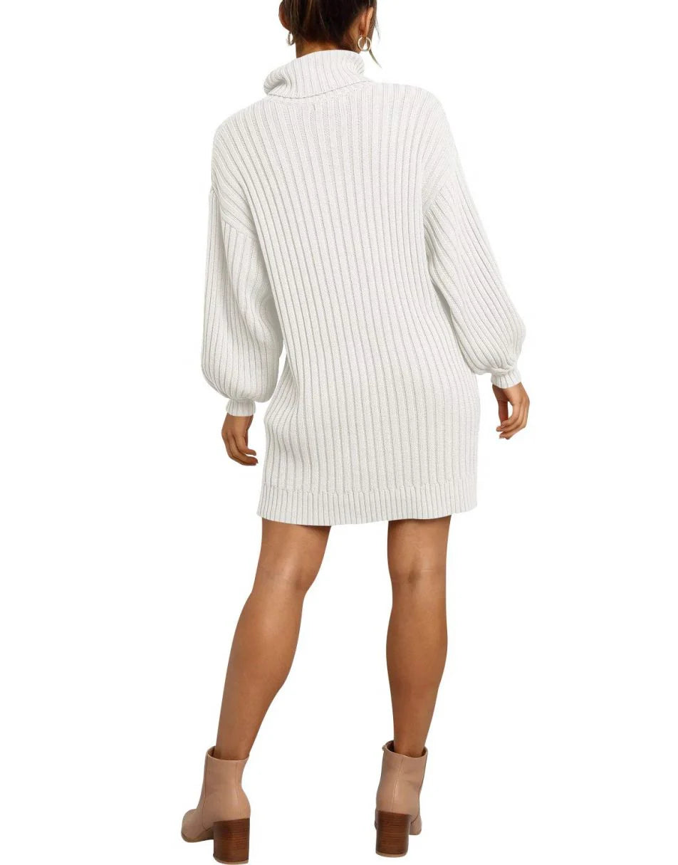Women Turtleneck Oversized Sweater Pullover Dresses