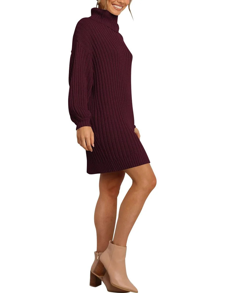 Women Turtleneck Oversized Sweater Pullover Dresses